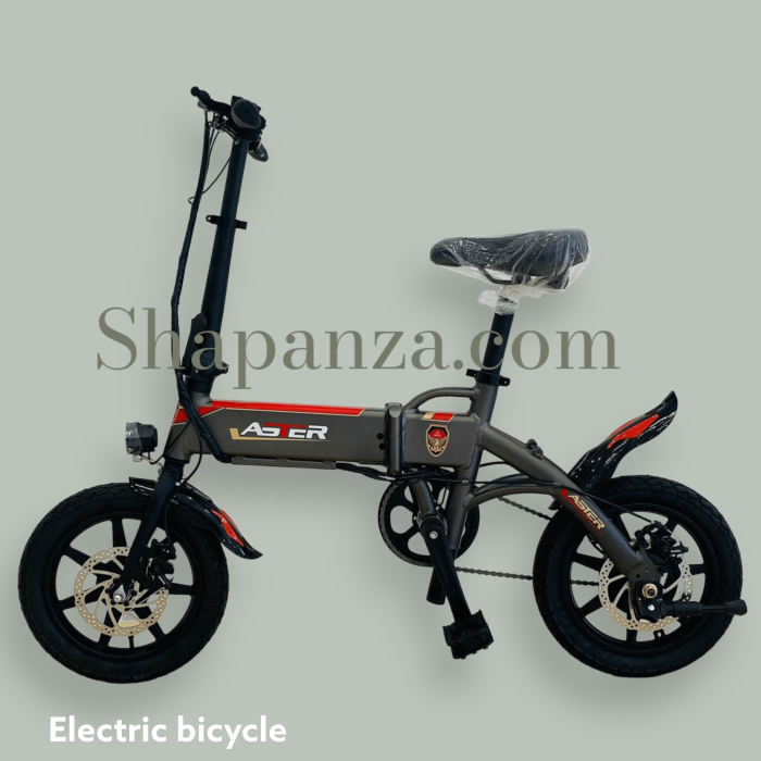 Electric Rechargeable Bicycle - Image 1