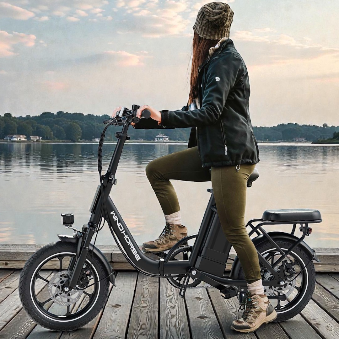 Photoroom_20260104_113624 WIND HORSE W2B Electric Folding Bike - Image 1